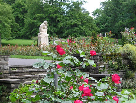 Rose Garden in Geneva's Parc de la Grange - La Roseraie